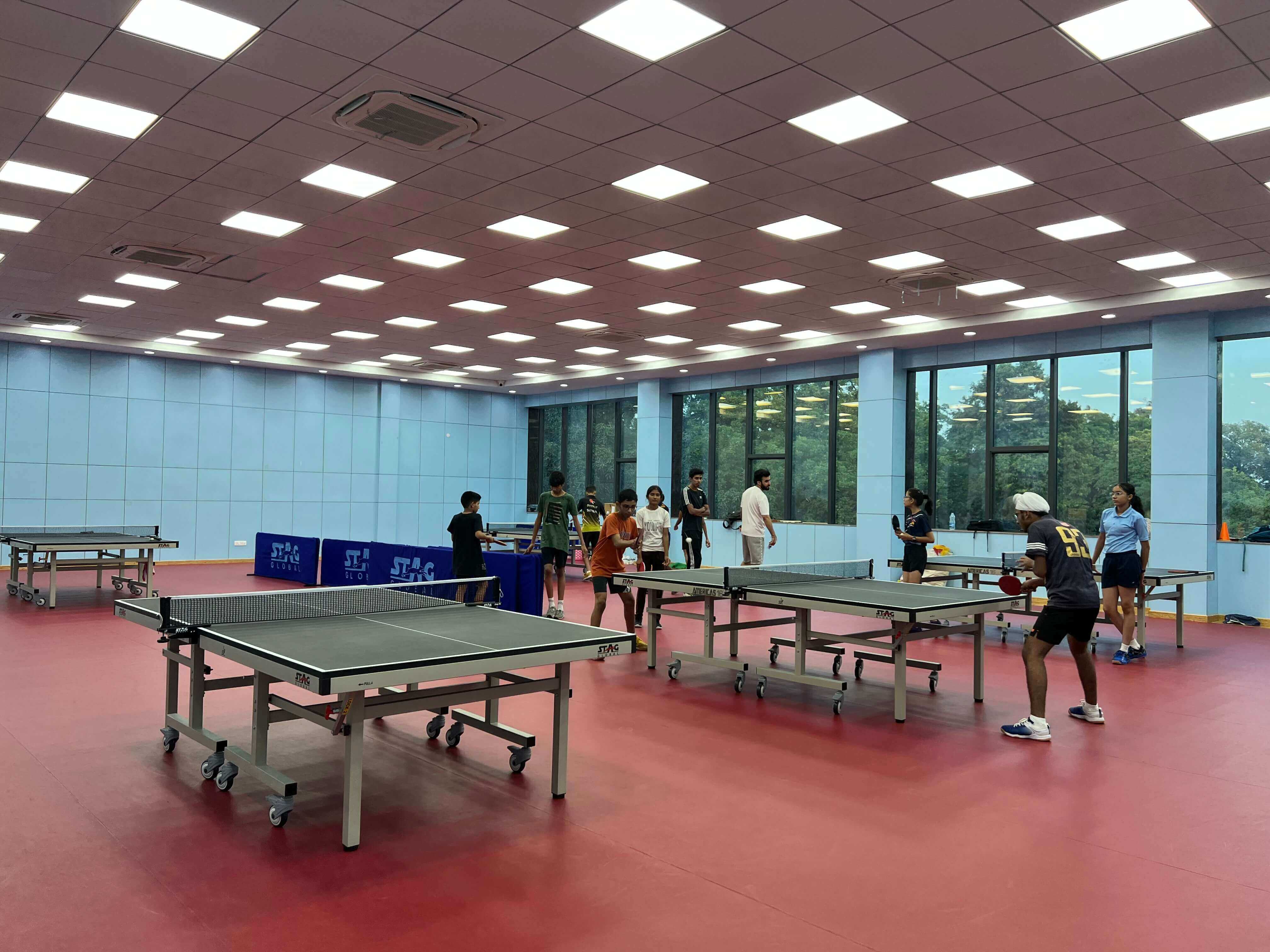 Table Tennis Court