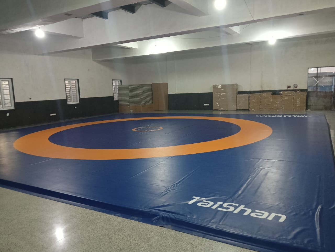 Wrestling Arena